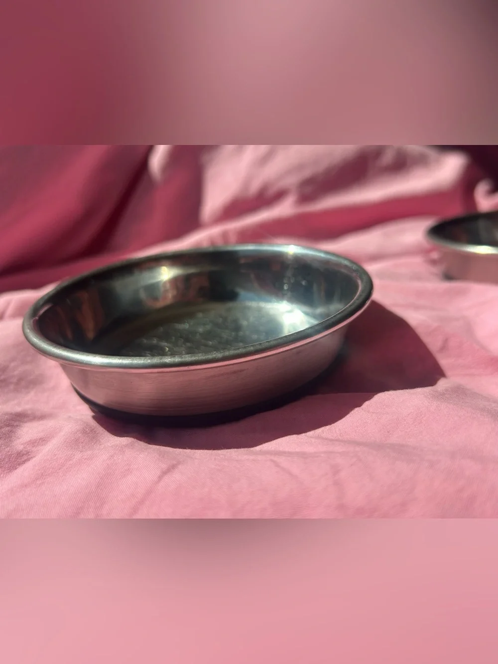 Our Pets as if